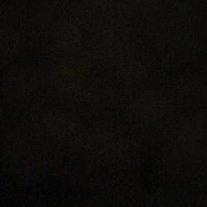 Meet your Posher, Audrey