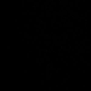 Meet your Posher, Callie