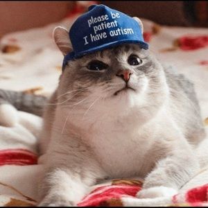 Meet your Posher, Shane