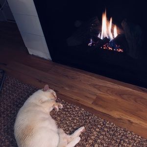 Meet your Posher, Cole