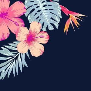 Meet your Posher, Lexi