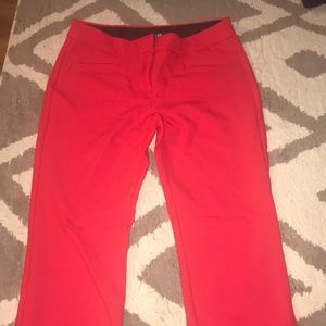 Express dress pants