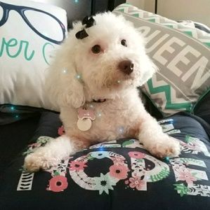 Meet your Posher, Brenda