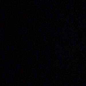 Meet your Posher, Dylan