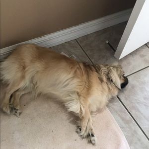 Meet your Posher, Brooke