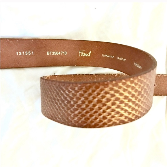[Fossil] Leather Belt - Picture 3 of 6