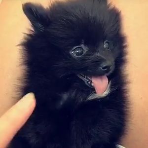 Meet your Posher, Zach