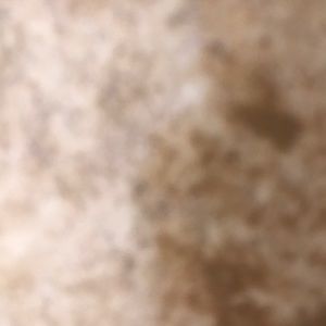 Meet your Posher, Colin