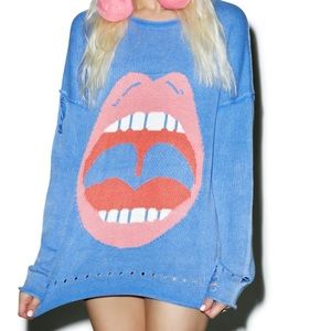 RARE Wildfox bloomy no filter sweater