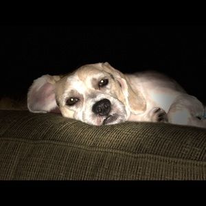 Meet your Posher, Julissa