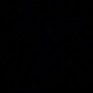 Meet your Posher, Reyna