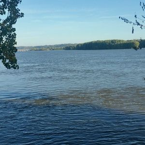 Meet your Posher, Travis