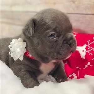 Meet your Posher, Meghan