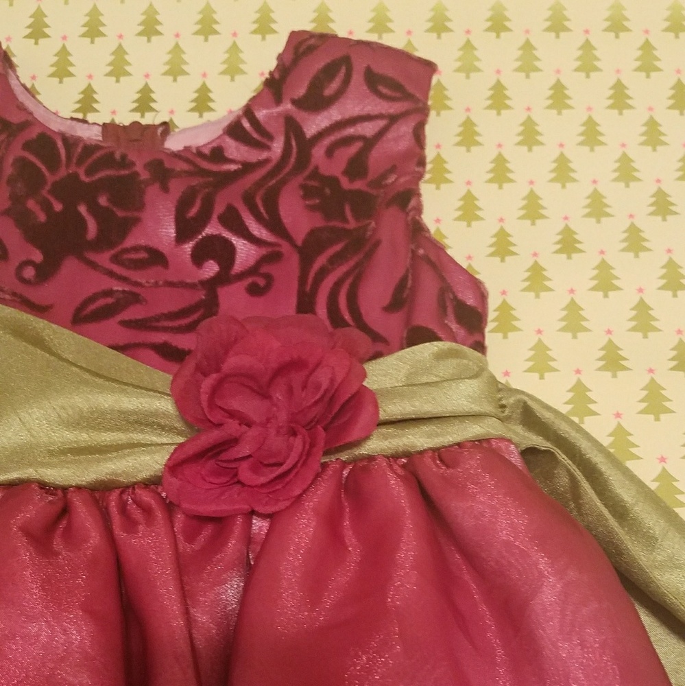 Young Girls Velvet Holiday Dress