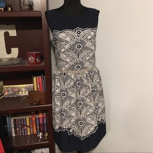 Loft dress size 12