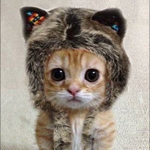 Meet your Posher, Edit