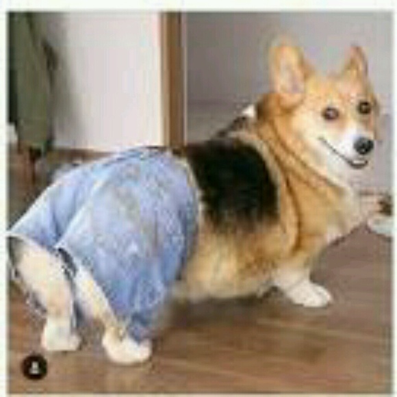 Meet your Posher, Michael - Picture 1 of 1