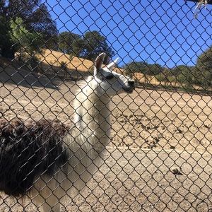 Meet your Posher, Howard