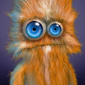 Meet your Posher, Carter