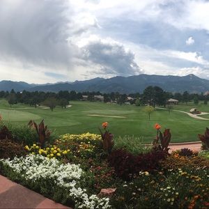 Meet your Posher, Michele