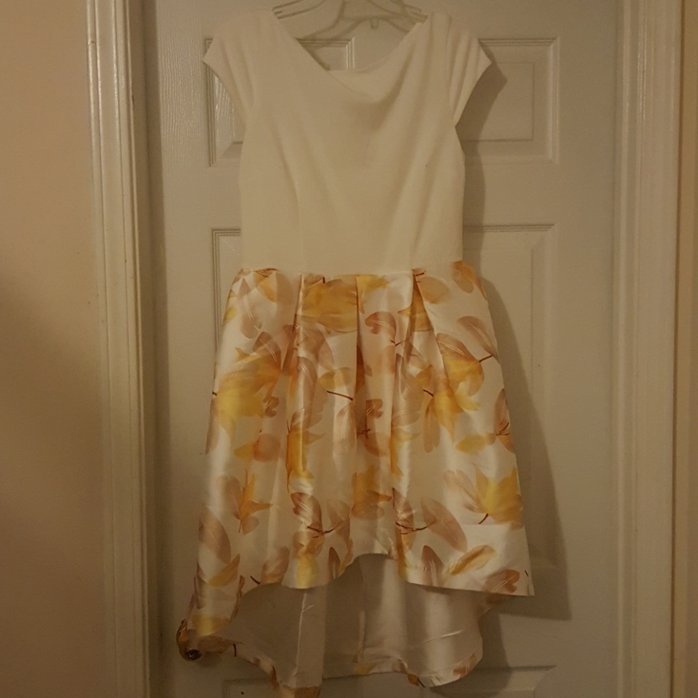 Skater dress