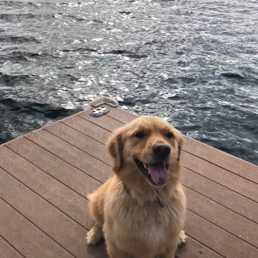 Meet your Posher, Holly