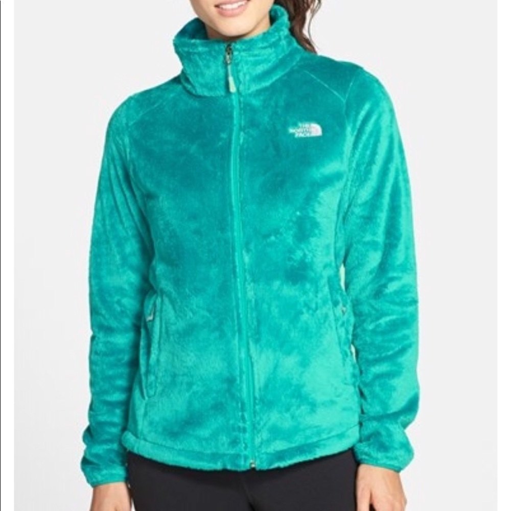NWT North Face Osito 2 Jacket
