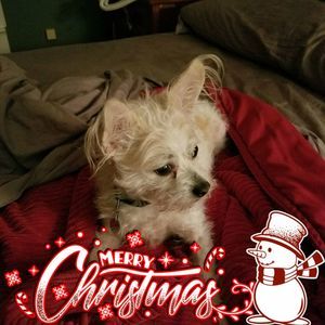 Meet your Posher, Stacey