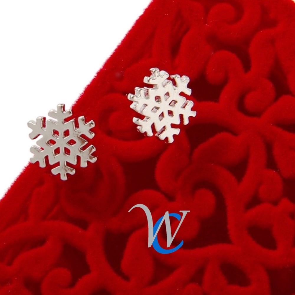 Snowflake Earrings