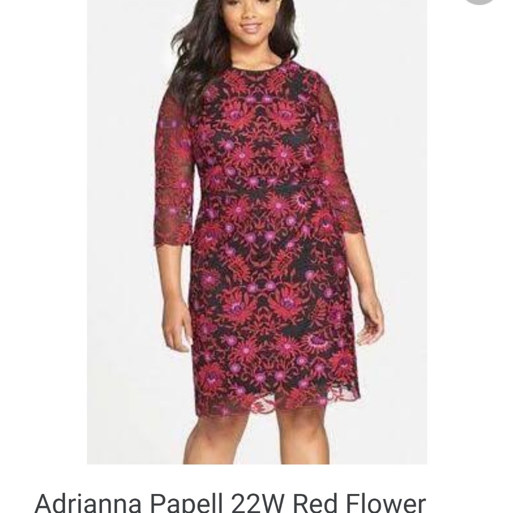 Adrianna Papell Size 22 Embroidered Floral Dress