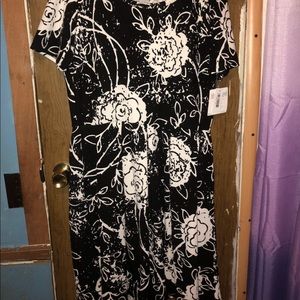 LuLaRoe Amelia