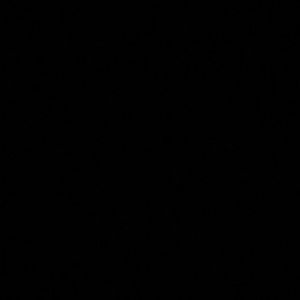 Meet your Posher, Karina