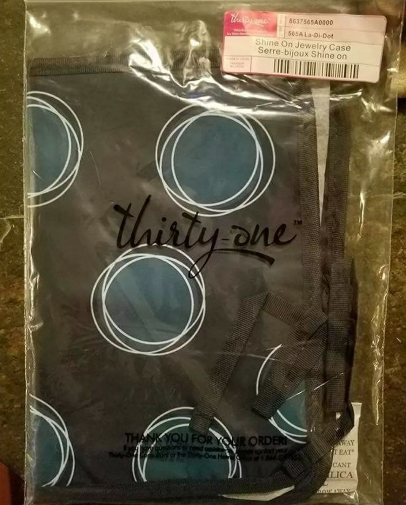 Thirty-One Shine On Jewelry Case