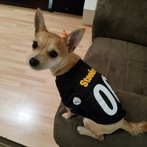 Meet your Posher, Travis