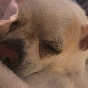 Meet your Posher, Jeanette