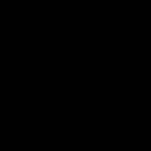 Meet your Posher, Jazmine