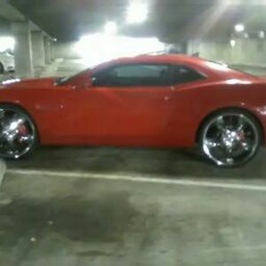 Meet your Posher, Bobbie