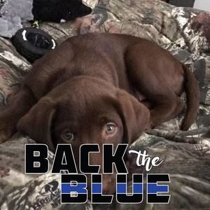 Meet your Posher, Cory