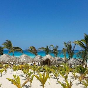 Meet your Posher, Riley