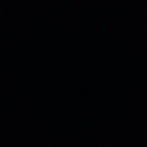 Meet your Posher, Susie