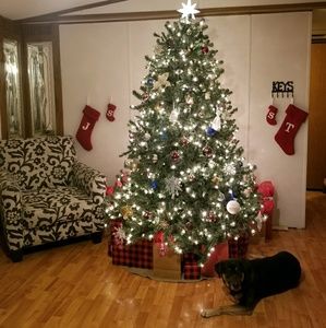 Meet your Posher, Taylor