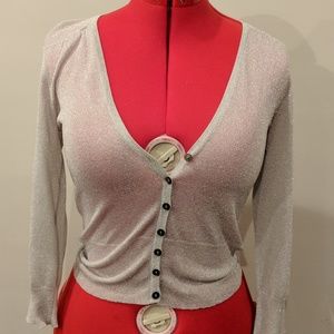 The Limited Sparkly Sweater