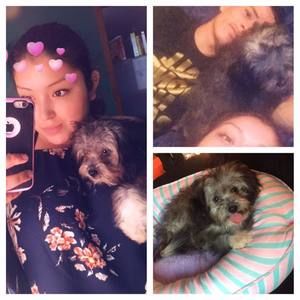 Meet your Posher, Salma