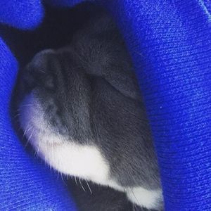 Meet your Posher, Jayden