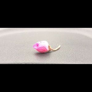 Meet your Posher, Jelisa