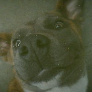 Meet your Posher, Nora