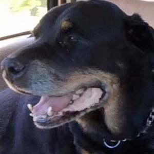 Meet your Posher, Thalia