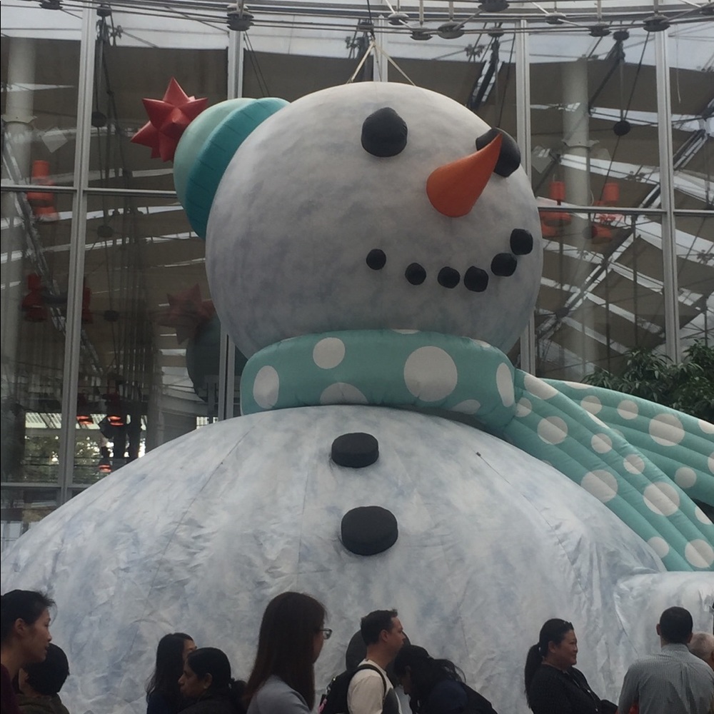 Meet your Posher, Rose