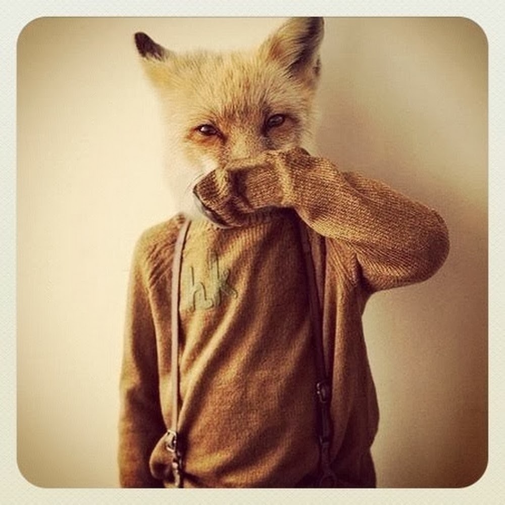 Meet your Posher, Stacylouise70