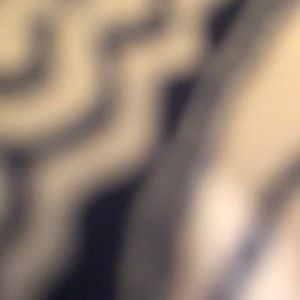 Meet your Posher, Chloe